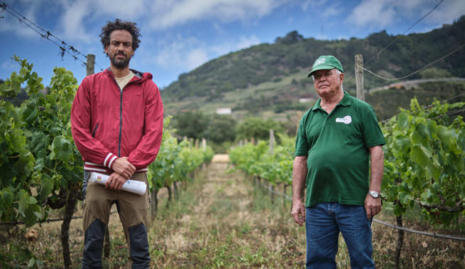 Un proyecto busca un impulso para la viticultura agroecológica