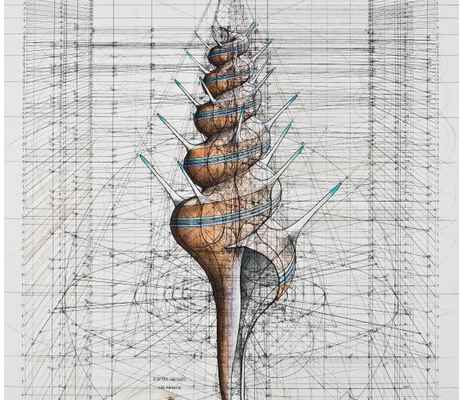 Curso Biomimesis: Una propuesta multidisciplinar para afrontar los retos de sostenibilidad post-covid