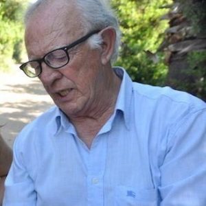 Vicente Borrás Sena