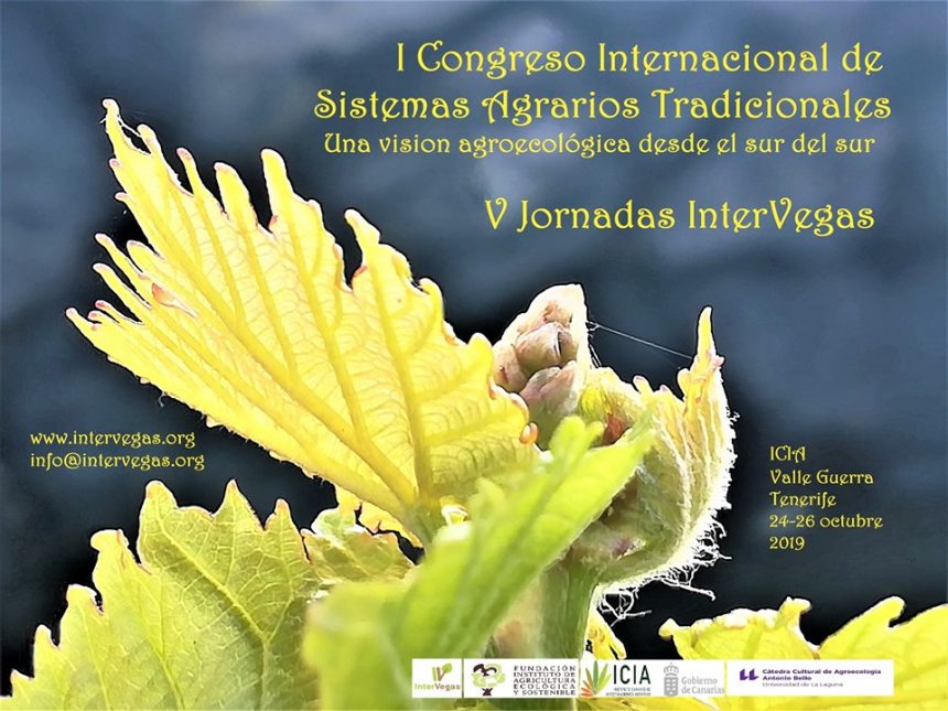 V Congreso Internacional Intervegas V Congreso Internacional Intervegas