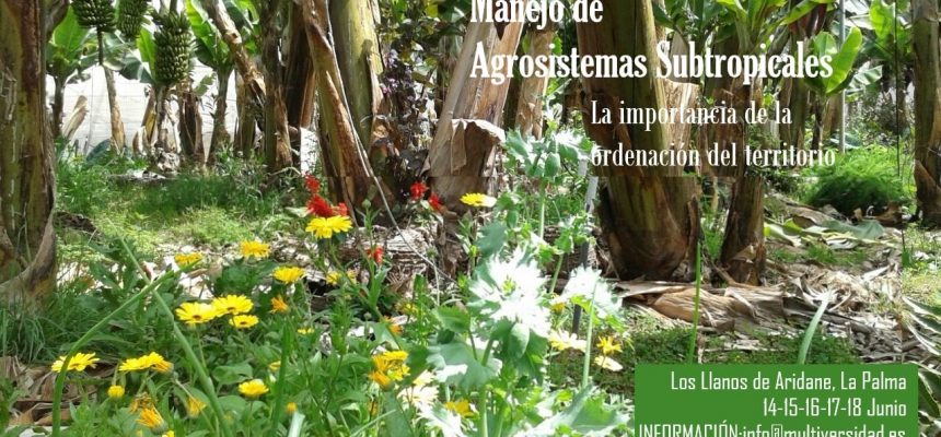 Curso “Manejo de agrosistemas subtropicales de frutales: Plátano, aguacate, mango, cítricos y papaya. La importancia de la ordenación del territorio”