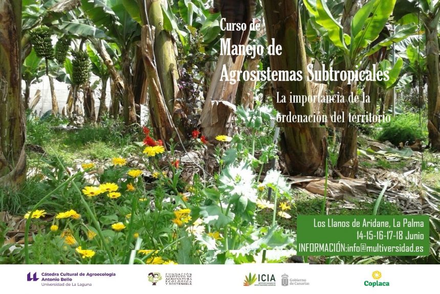 Curso “Manejo de agrosistemas subtropicales de frutales: Plátano, aguacate, mango, cítricos y papaya. La importancia de la ordenación del territorio” Curso “Manejo de agrosistemas subtropicales de frutales: Plátano, aguacate, mango, cítricos y papaya. La importancia de la ordenación del territorio”