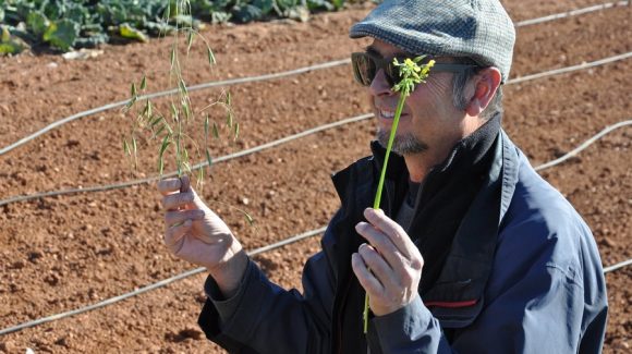 In memoriam: Rafael Laborda