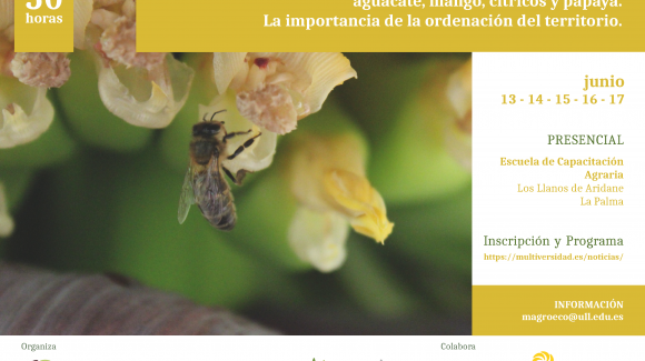 Curso “Manejo de agrosistemas subtropicales de frutales: plátano, aguacate, mango, cítricos y papaya. La importancia de la ordenación del territorio” (edición 2022)
