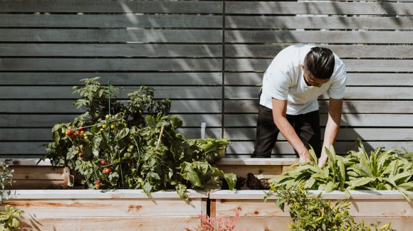 Ciclo de conferencias: «Una mirada hacia el futuro con visión agroecológica»