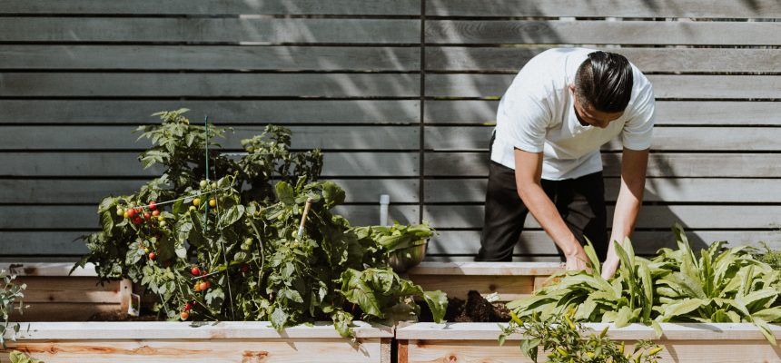 Ciclo de conferencias: «Una mirada hacia el futuro con visión agroecológica»