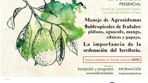 Curso “Manejo de agrosistemas subtropicales de frutales: plátano, aguacate, mango, cítricos y papaya. La importancia de la ordenación del territorio” (edición 2023)