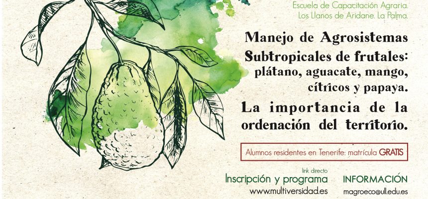 Curso “Manejo de agrosistemas subtropicales de frutales: plátano, aguacate, mango, cítricos y papaya. La importancia de la ordenación del territorio” (edición 2023)